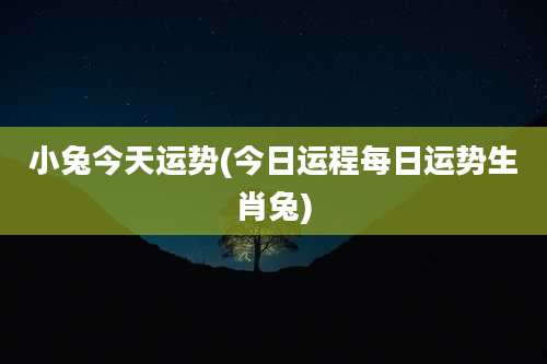 小兔今天运势(今日运程每日运势生肖兔)