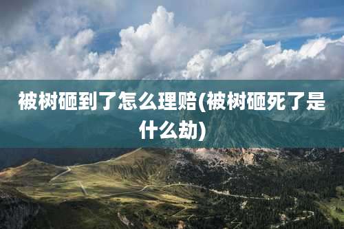 被树砸到了怎么理赔(被树砸死了是什么劫)