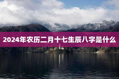 2024年农历二月十七生辰八字是什么
