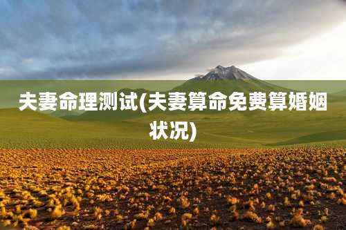 夫妻命理测试(夫妻算命免费算婚姻状况)