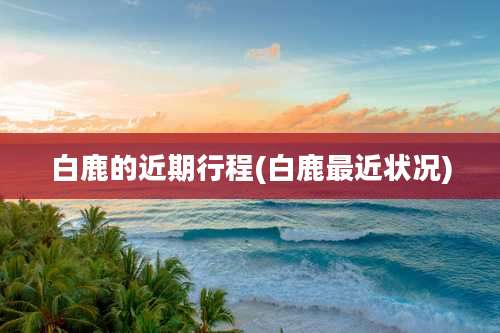 白鹿的近期行程(白鹿最近状况)