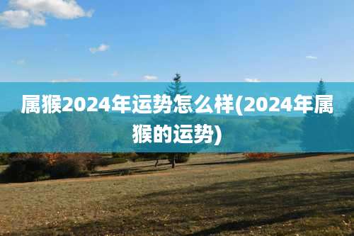 属猴2024年运势怎么样(2024年属猴的运势)