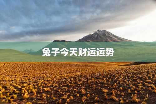 兔子今天财运运势