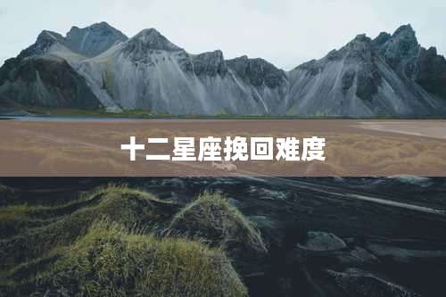 十二星座挽回难度