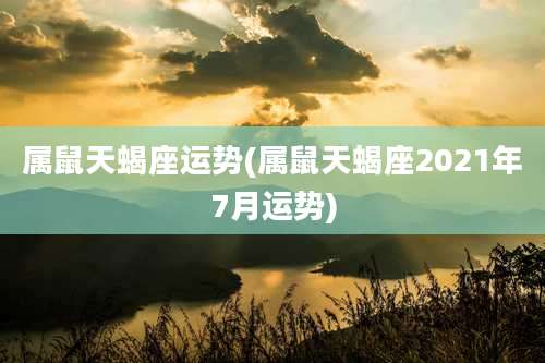 属鼠天蝎座运势(属鼠天蝎座2021年7月运势)