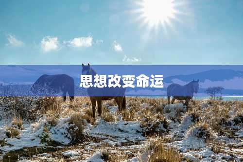 思想改变命运