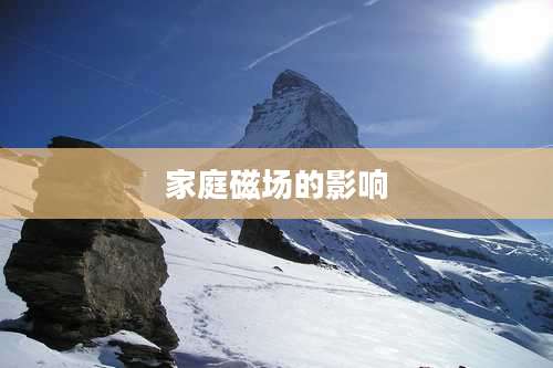 家庭磁场的影响