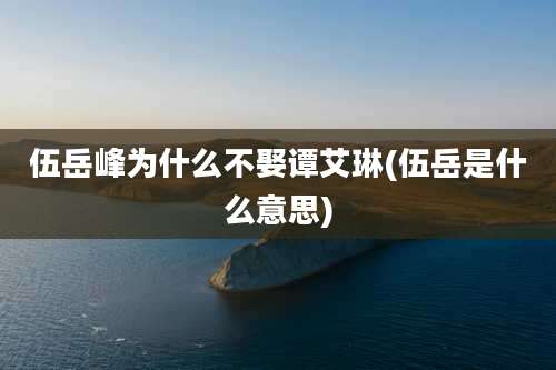 伍岳峰为什么不娶谭艾琳(伍岳是什么意思)
