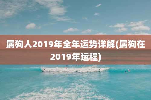 属狗人2019年全年运势详解(属狗在2019年运程)