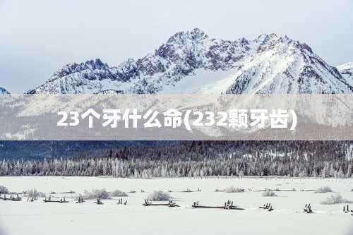 23个牙什么命(232颗牙齿)