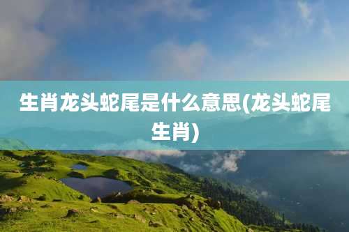 生肖龙头蛇尾是什么意思(龙头蛇尾生肖)