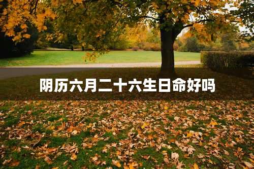 阴历六月二十六生日命好吗