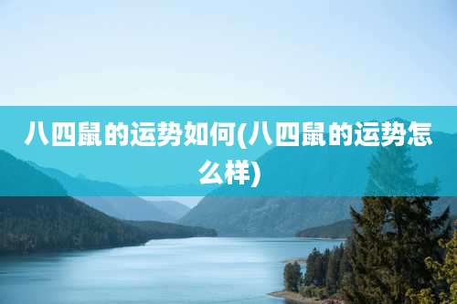 八四鼠的运势如何(八四鼠的运势怎么样)