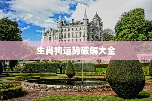 生肖狗运势破解大全