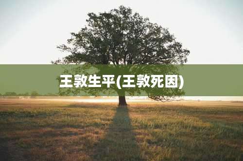 王敦生平(王敦死因)