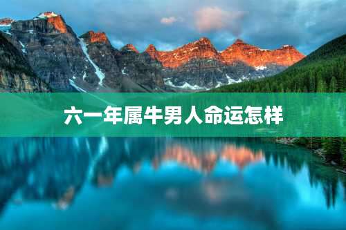六一年属牛男人命运怎样