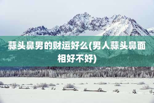 蒜头鼻男的财运好么(男人蒜头鼻面相好不好)