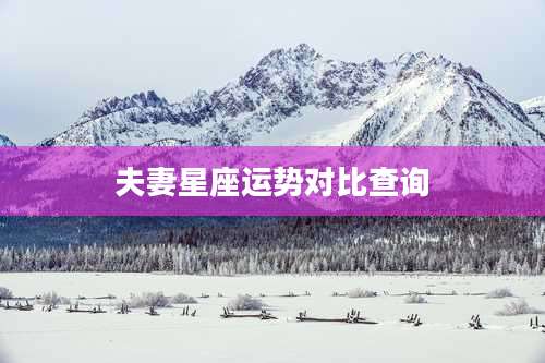 夫妻星座运势对比查询