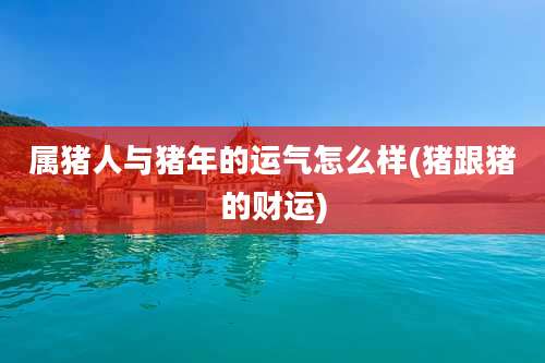 属猪人与猪年的运气怎么样(猪跟猪的财运)