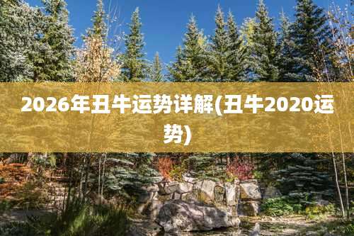 2026年丑牛运势详解(丑牛2020运势)