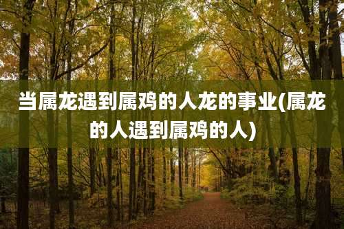 当属龙遇到属鸡的人龙的事业(属龙的人遇到属鸡的人)