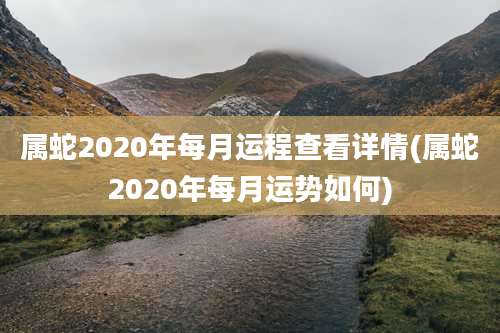 属蛇2020年每月运程查看详情(属蛇2020年每月运势如何)