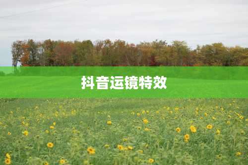抖音运镜特效