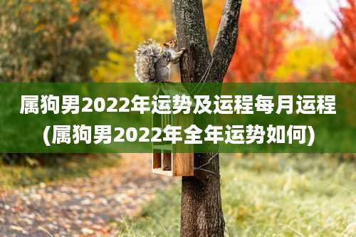 属狗男2022年运势及运程每月运程(属狗男2022年全年运势如何)