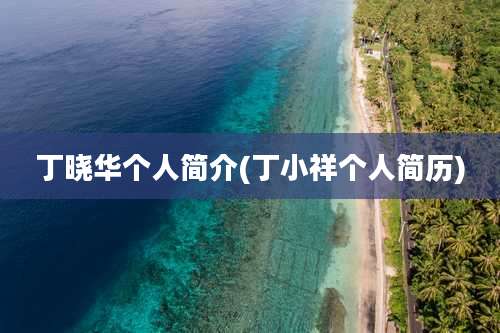 丁晓华个人简介(丁小祥个人简历)