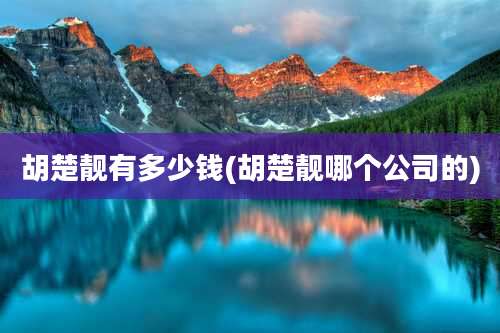 胡楚靓有多少钱(胡楚靓哪个公司的)