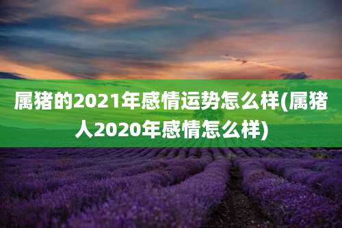 属猪的2021年感情运势怎么样(属猪人2020年感情怎么样)