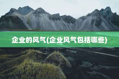 企业的风气(企业风气包括哪些)
