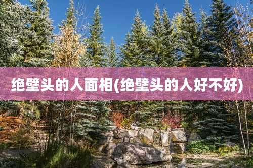 绝壁头的人面相(绝壁头的人好不好)