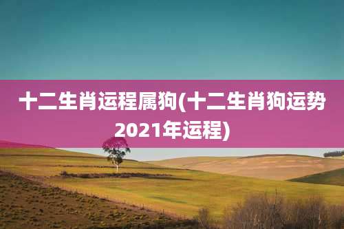 十二生肖运程属狗(十二生肖狗运势2021年运程)