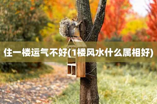 住一楼运气不好(1楼风水什么属相好)