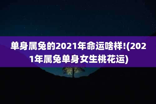 单身属兔的2021年命运啥样!(2021年属兔单身女生桃花运)