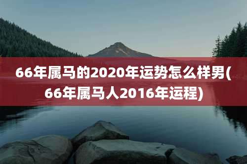 66年属马的2020年运势怎么样男(66年属马人2016年运程)