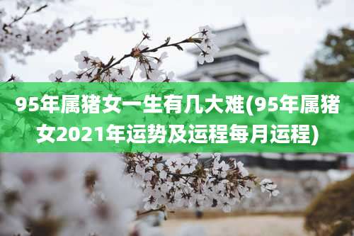 95年属猪女一生有几大难(95年属猪女2021年运势及运程每月运程)