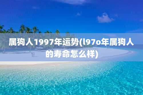 属狗人1997年运势(l97o年属狗人的寿命怎么样)