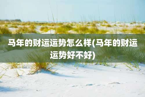 马年的财运运势怎么样(马年的财运运势好不好)