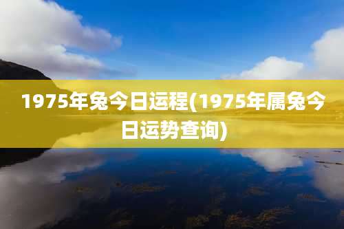 1975年兔今日运程(1975年属兔今日运势查询)