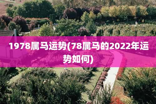 1978属马运势(78属马的2022年运势如何)