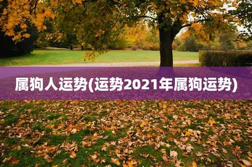 属狗人运势(运势2021年属狗运势)