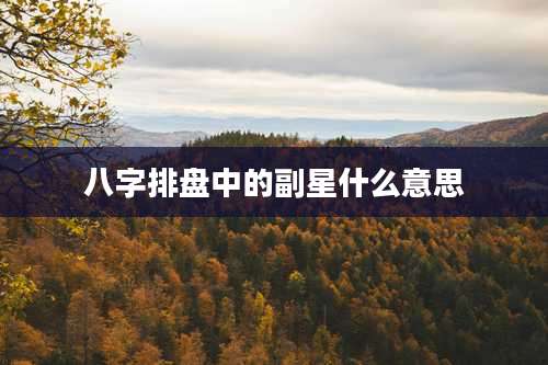 八字排盘中的副星什么意思