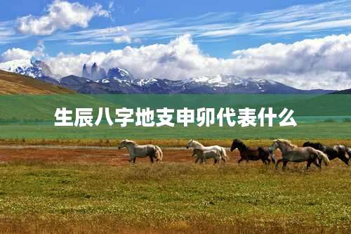 生辰八字地支申卯代表什么