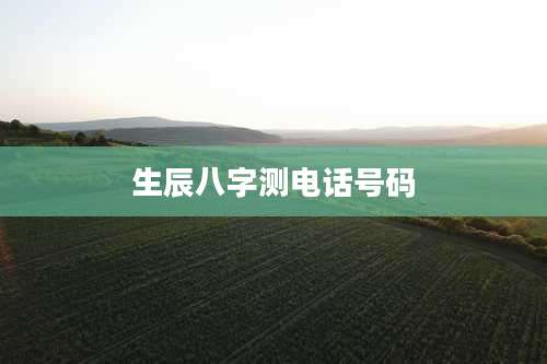 生辰八字测电话号码