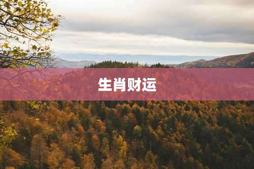 生肖财运