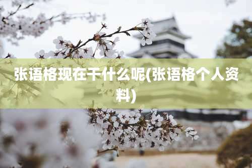 张语格现在干什么呢(张语格个人资料)