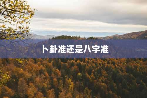 卜卦准还是八字准