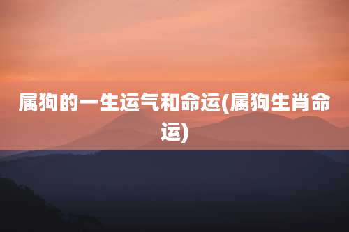 属狗的一生运气和命运(属狗生肖命运)